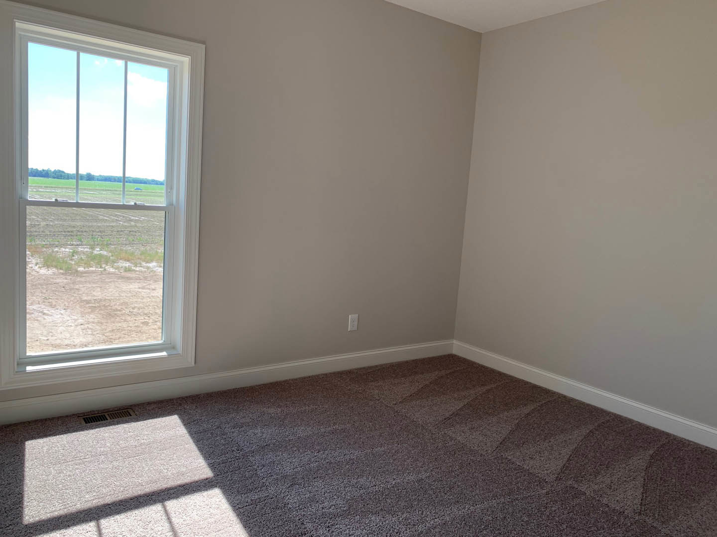 White-walled room with plush carpet flooring, large window overlooking grassy field, smooth plaster ceiling