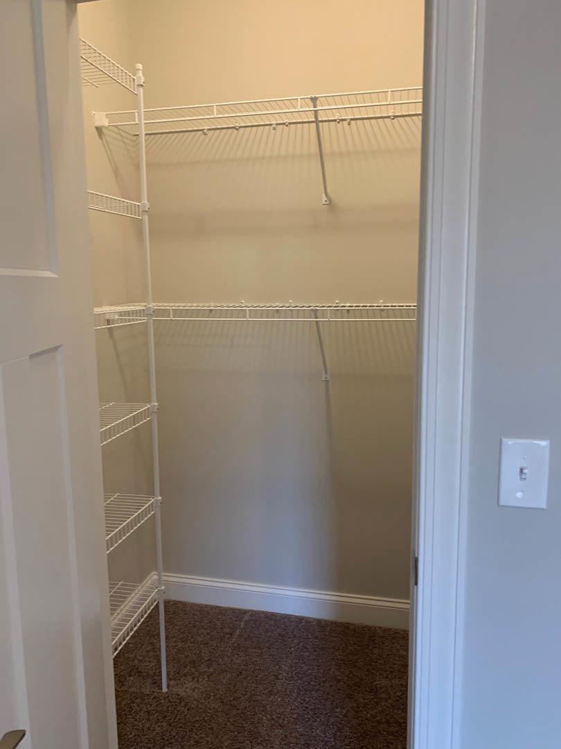 Walk-in closet with white shelves, carpeted floor, light switch on plaster wall, and white door with hooks