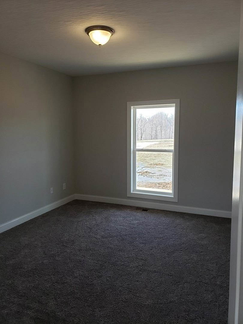 Dark carpeted room with white plaster walls, ceiling light fixture, and large window overlooking snowy field and cluster of trees.