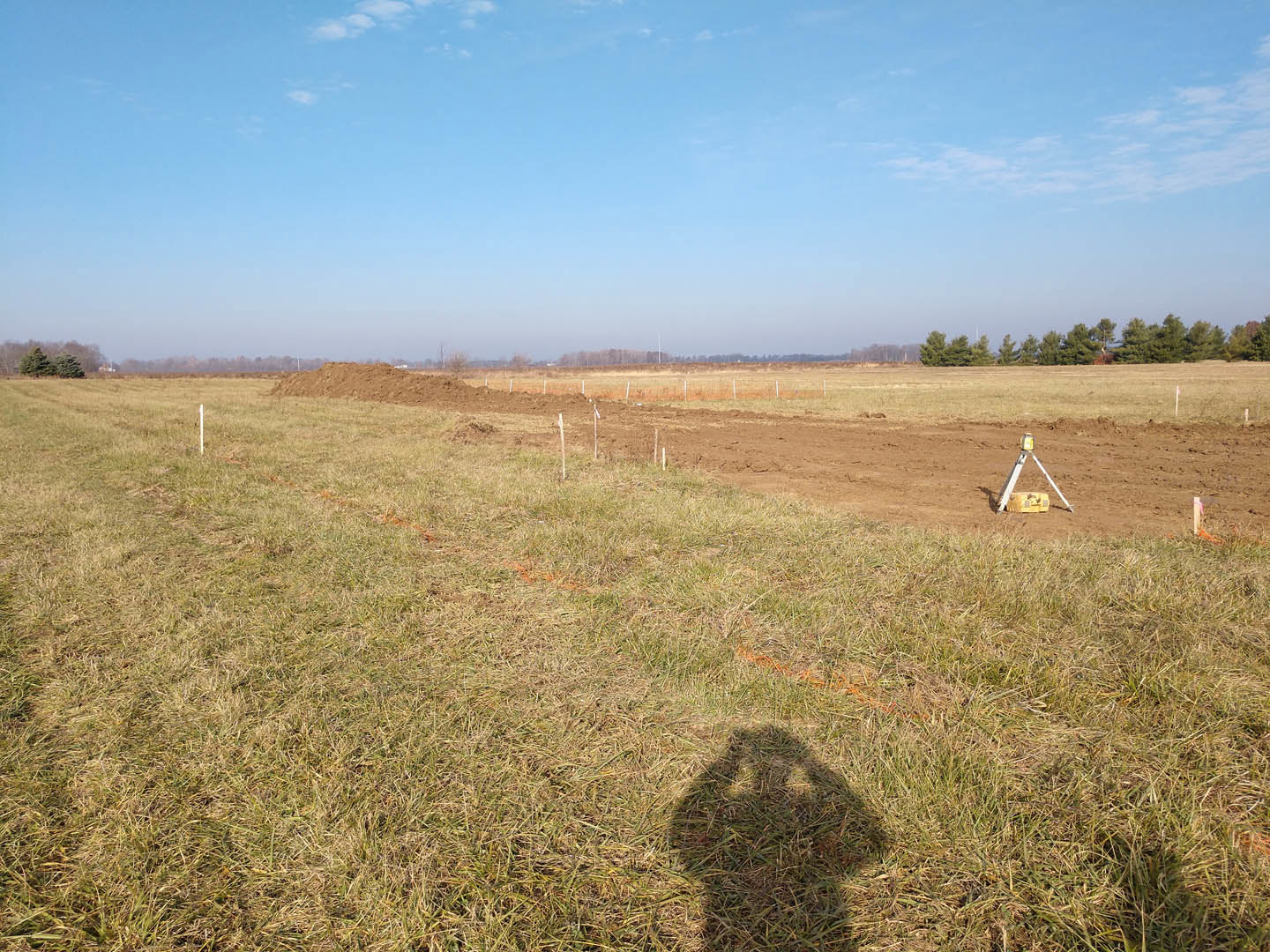 Modern tiny home with light wood siding sits in a grassy field under a blue sky with scattered clouds, surrounded by trees and meadow plants.