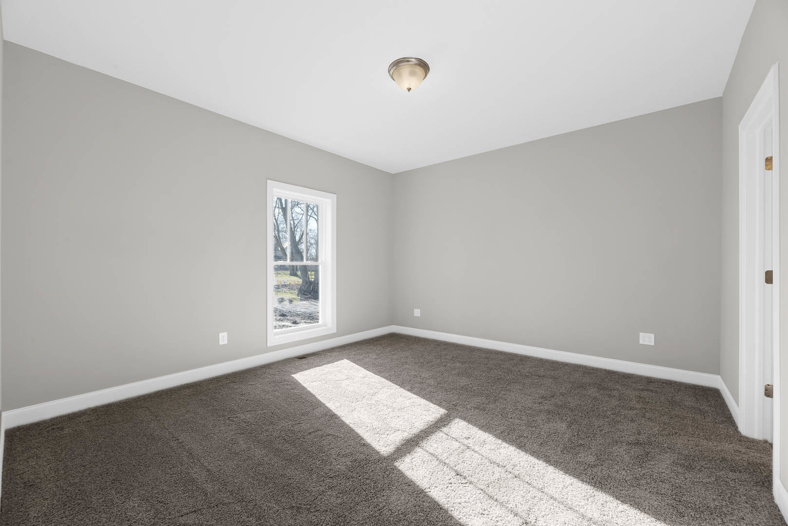 Carpeted room with white walls, ceiling light fixture, large window showing leafy trees, rectangular sunlight patch on floor