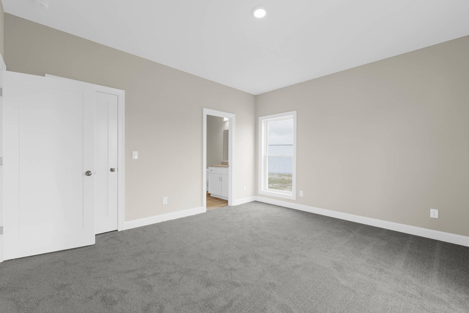 White paneled door with silver knobs and mirrored inset, adjacent to a rectangular window with white trim, beige carpet flooring, white plaster walls, ceiling light fixture, and