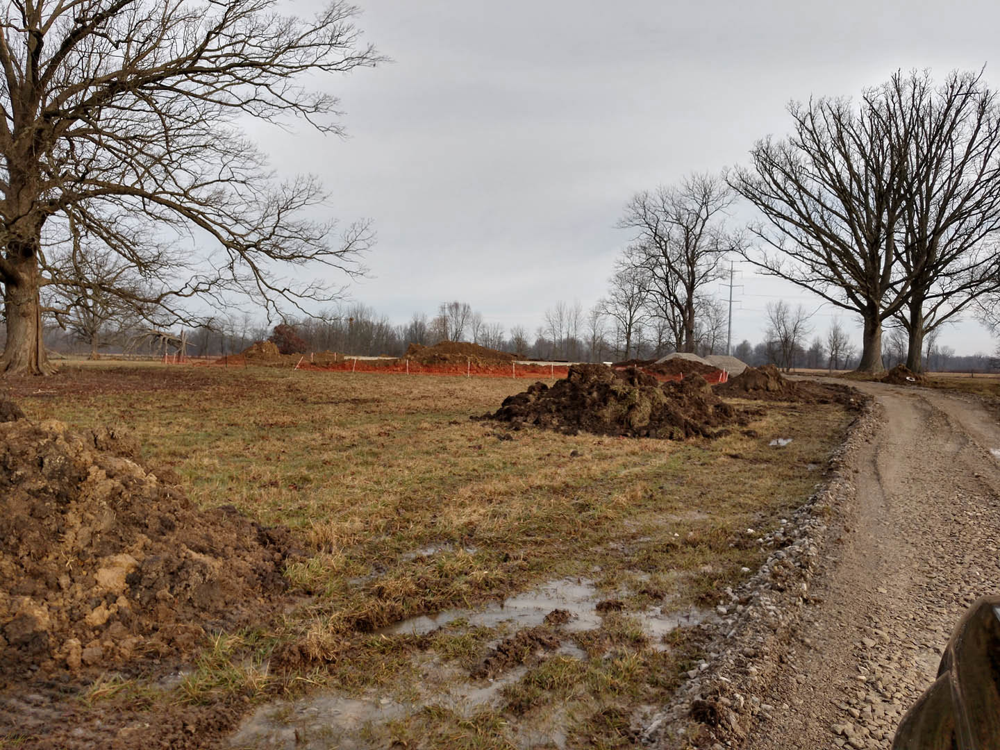 Dirt road bordered by large dirt piles and leafless trees, muddy field with scattered grass under cloudy sky