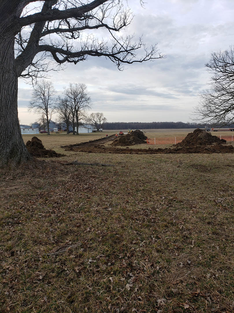 Leafless tree with thick trunk surrounded by bare dirt, brown grass field, and distant fence under cloudy sky