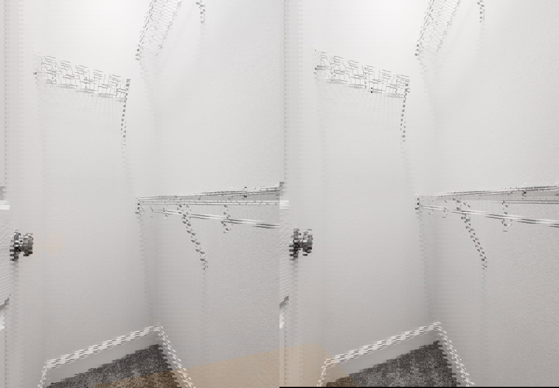 Walk-in closet with white shelves, carpeted floor, white walls, metal rods, and a white ceiling