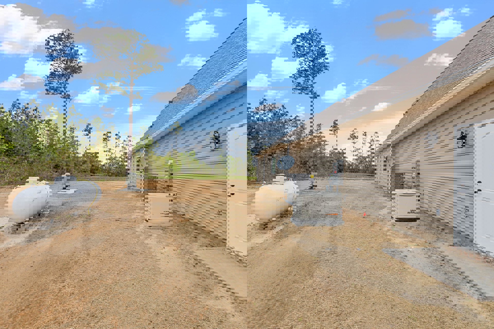 White generator with black and orange logo on wooden platform beside house exterior, tall tree with dense branches, black wall-mounted light fixture, close-up of white door, grassy