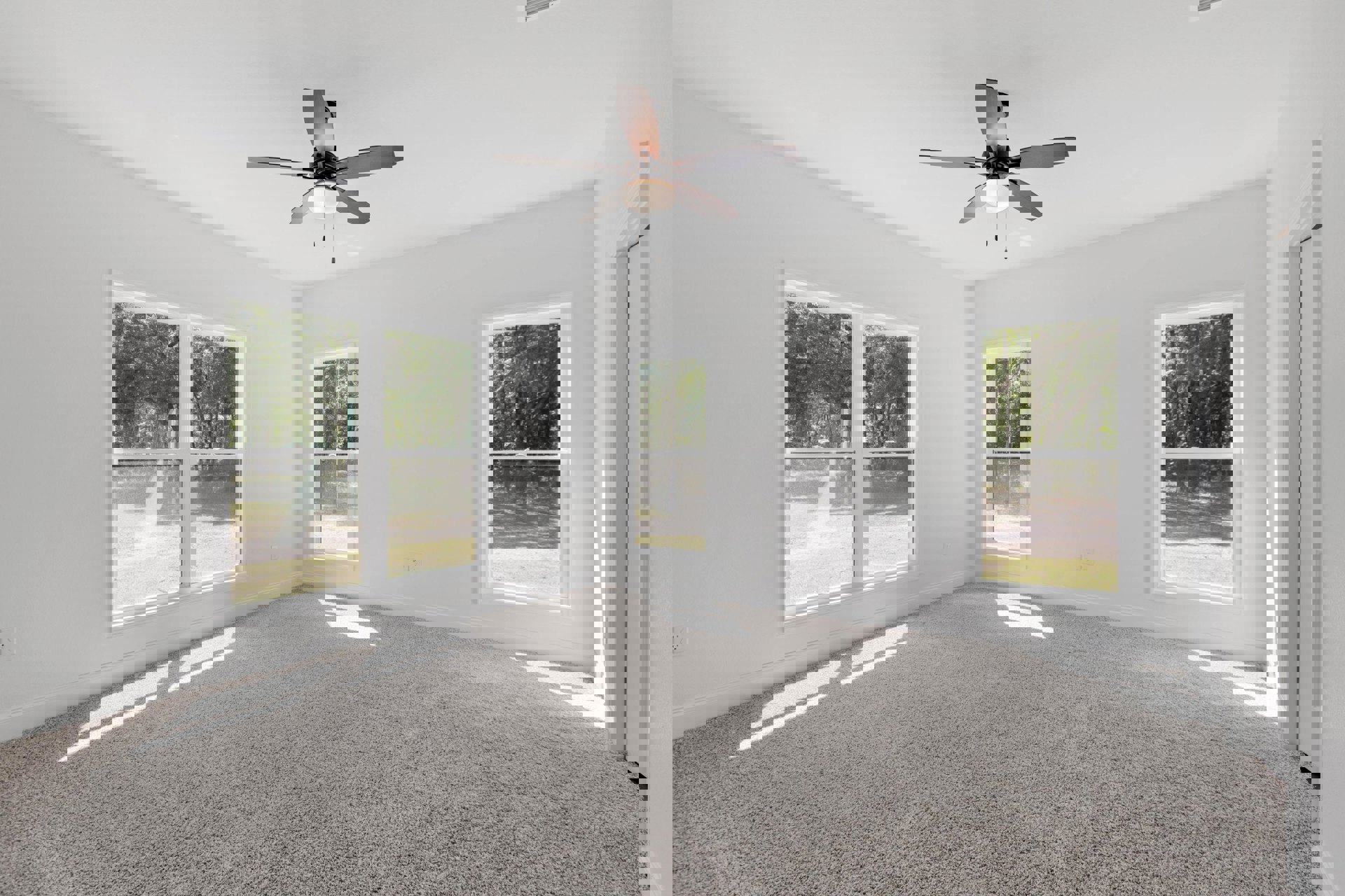 Ceiling fan with light fixture centered in a room featuring white-framed windows, neutral plaster walls, and light wood flooring