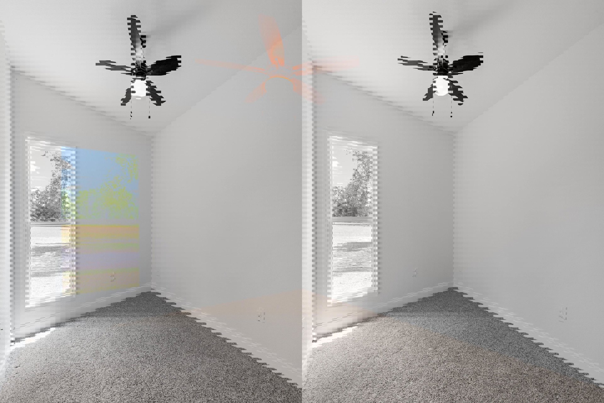 Ceiling fan with integrated light fixture above carpeted floor, large window revealing trees and open field, plaster walls and ceiling in spacious room