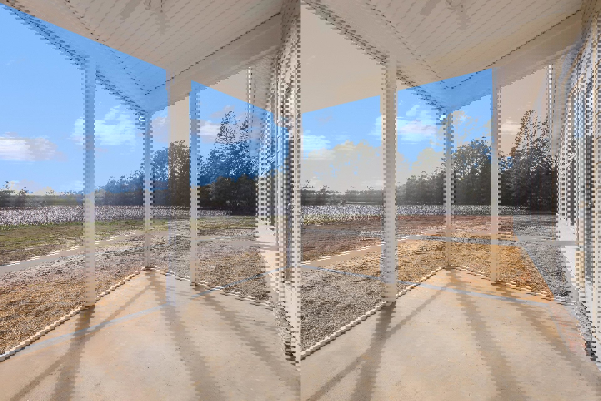 Spacious white porch with wide windows overlooking cotton field and trees, ceiling fan mounted above, light wood flooring
