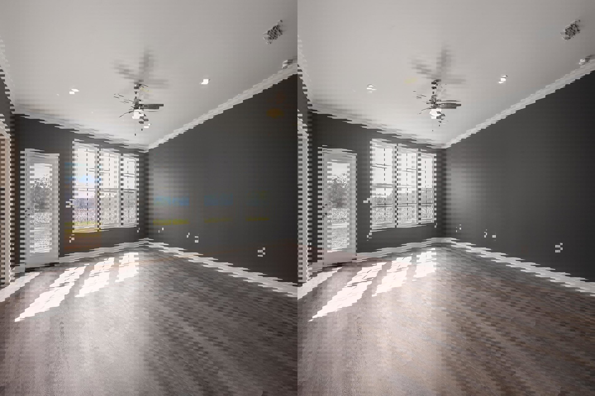 Ceiling fan with light fixture, row of white-framed windows showing tree views, glass-paneled door, laminate flooring, white plaster walls and ceiling