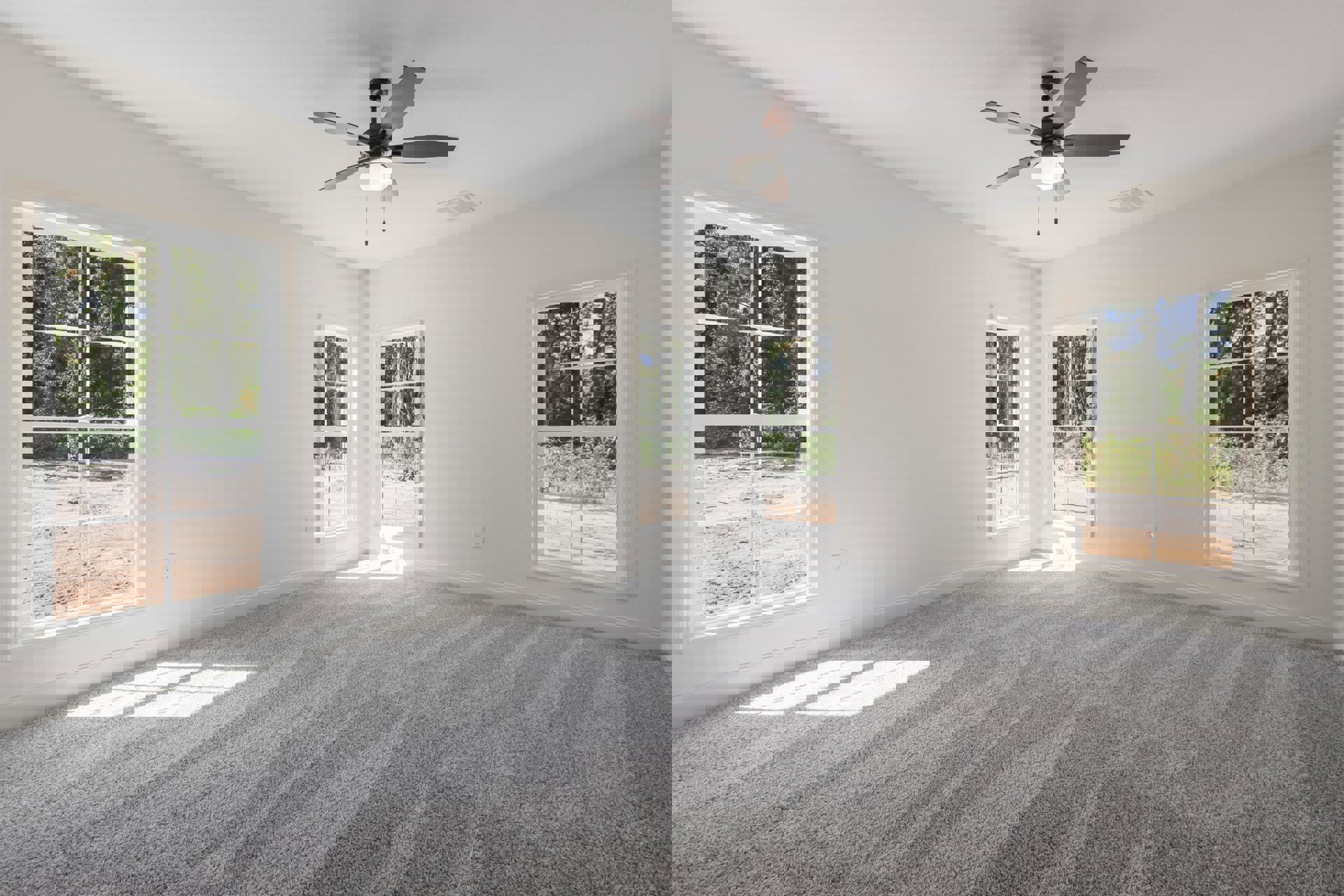 Carpeted room with white walls, multiple windows showing leafy trees outside, ceiling fan with light fixture, plaster ceiling