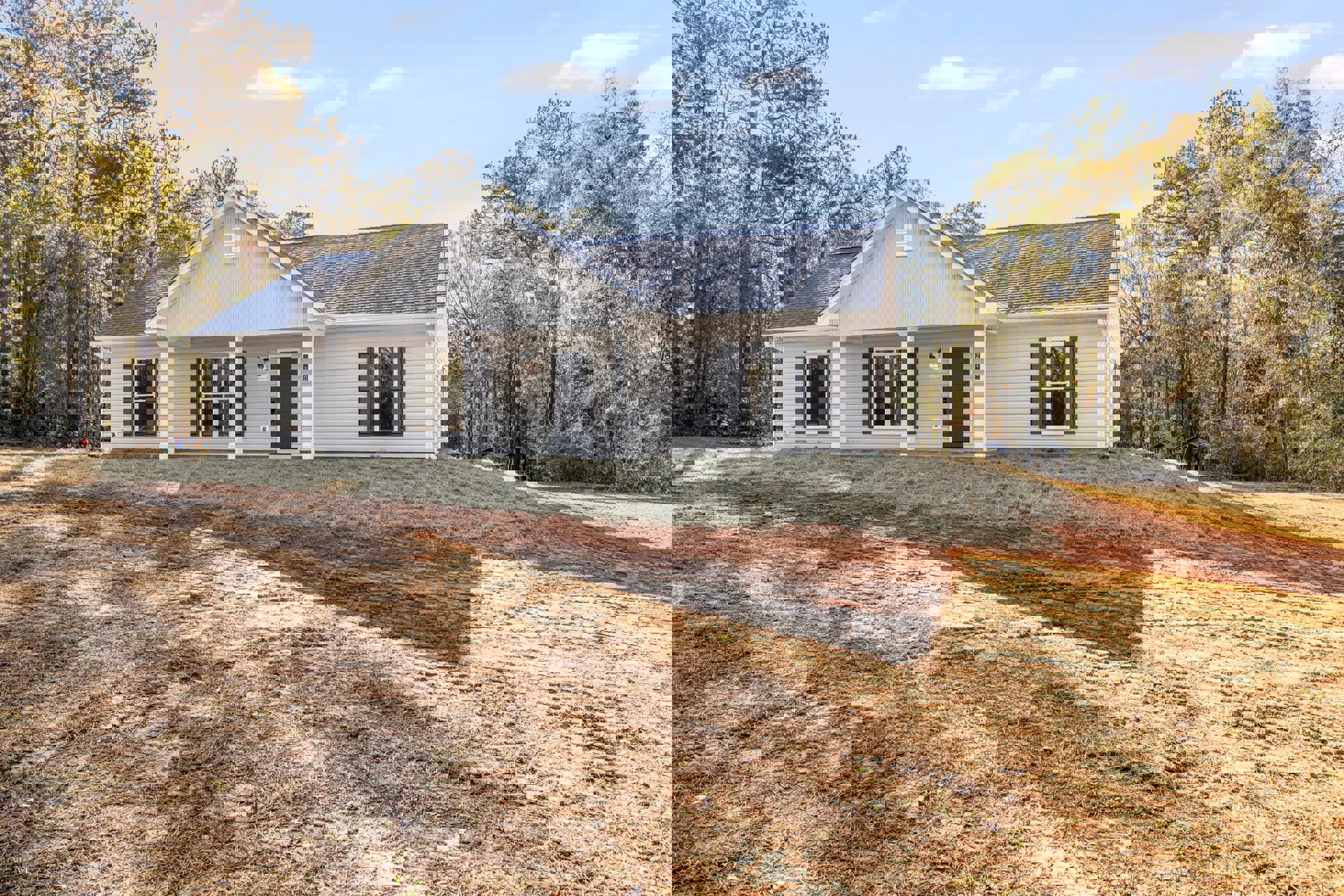 Modern house with black front door, white-framed windows, broken glass pane, dirt patch and grassy hill in foreground, surrounded by mature trees under cloudy sky