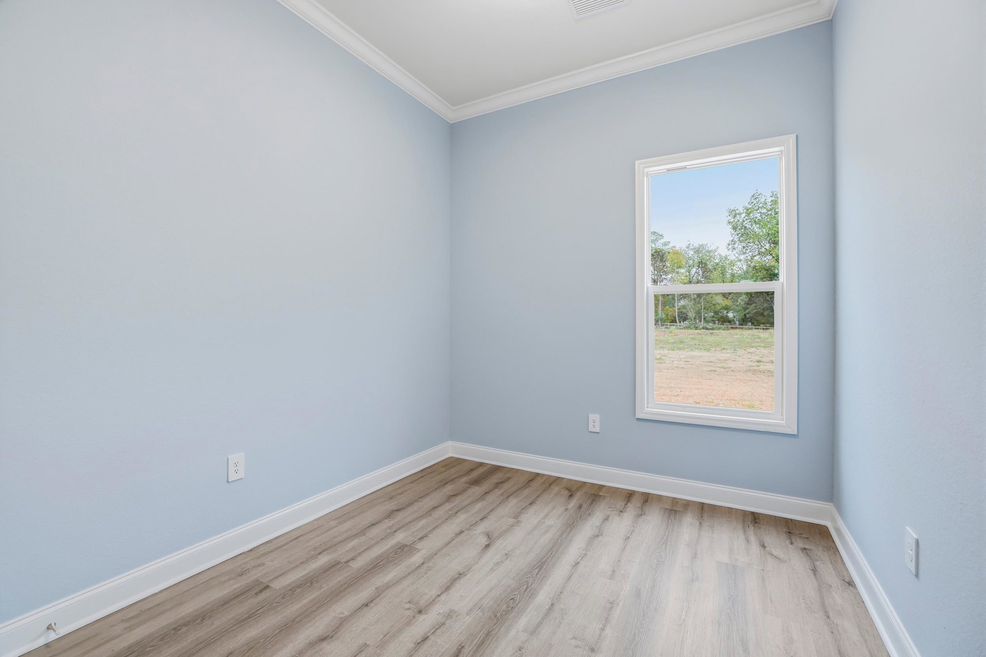 Sunlit room featuring a large window overlooking trees, wood laminate flooring, white baseboards, and smooth plaster walls
