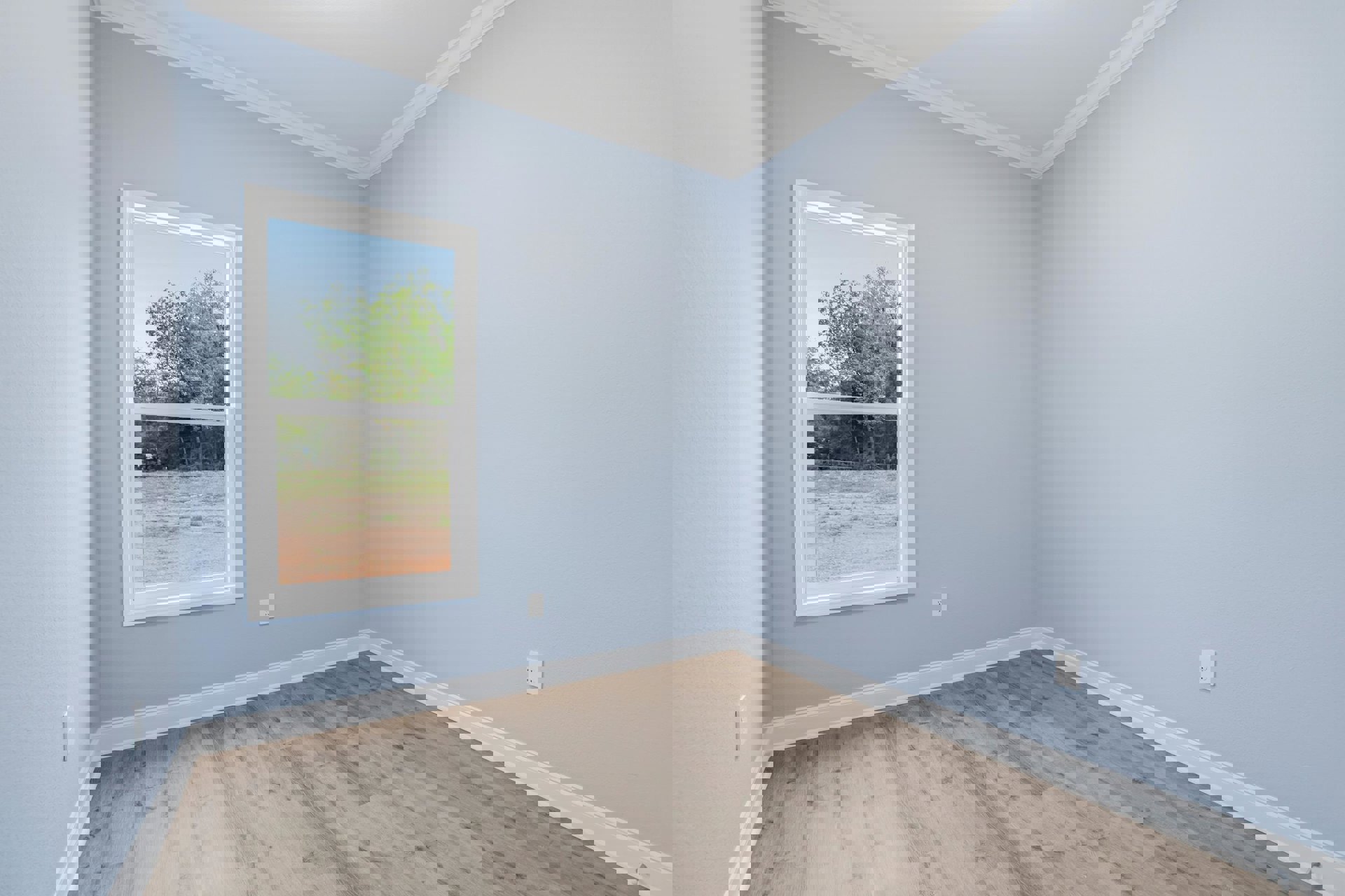 Sunlit room with wide window overlooking trees and grass, wood plank flooring, white walls, and white ceiling with crown molding