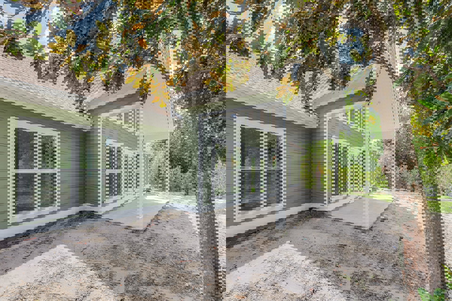 Spacious front porch with white columns, concrete patio and driveway, large windows, leafy tree branches, light-colored siding, palm tree visible in background