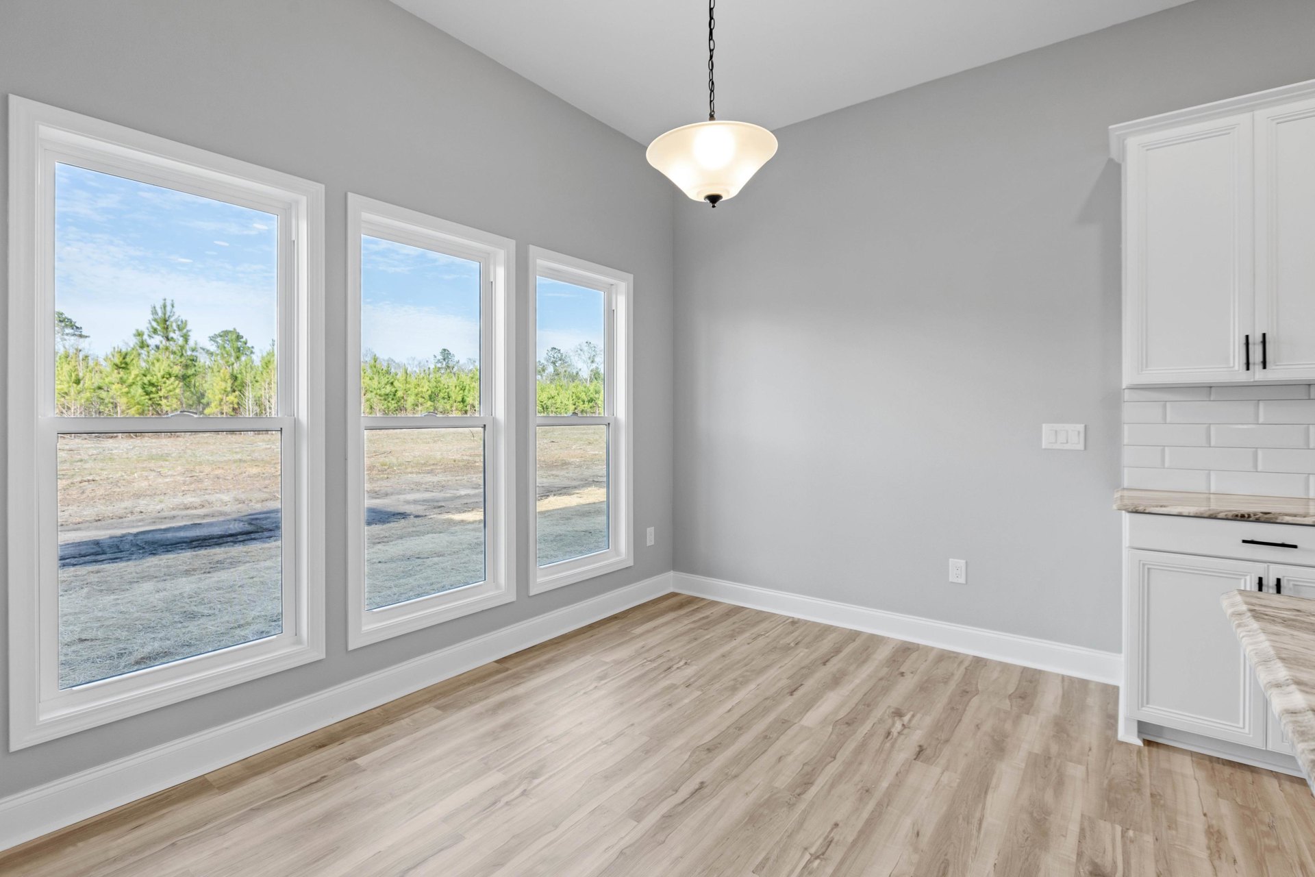 Sunlit room with wide plank wood flooring, row of large windows overlooking trees, modern ceiling light fixture, white walls, and built-in cabinetry