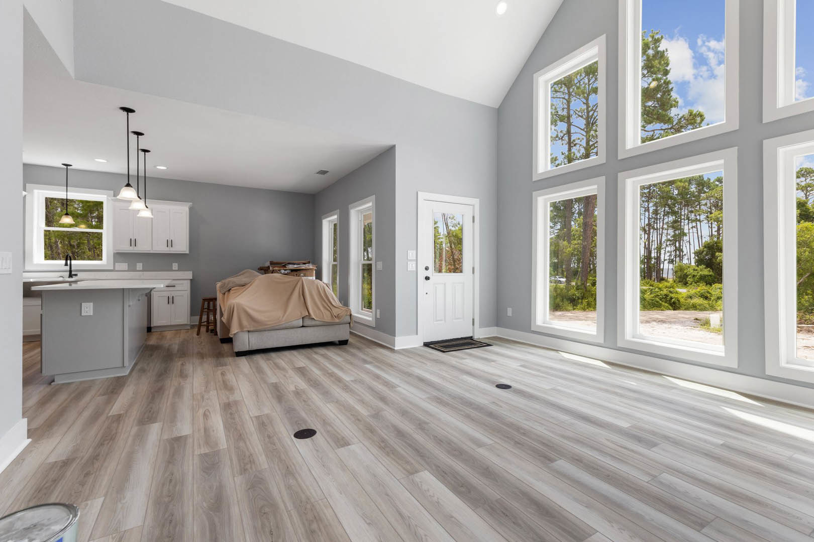Living room with hardwood flooring, gray couch draped in a blanket, white door with glass window, white countertop and wall outlet, plate on countertop