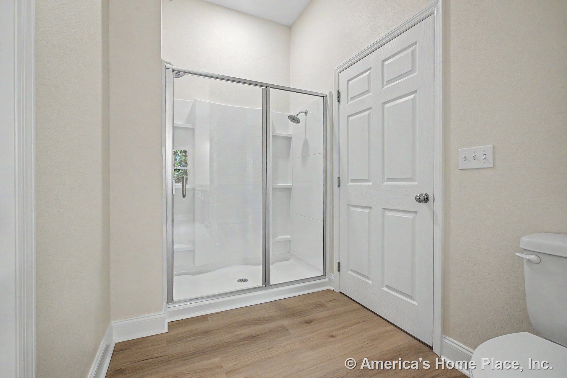 Glass-enclosed shower with built-in shelving, wood-look vinyl flooring, white paneled door, white toilet fixture, neutral wall paint, and recessed ceiling lighting.