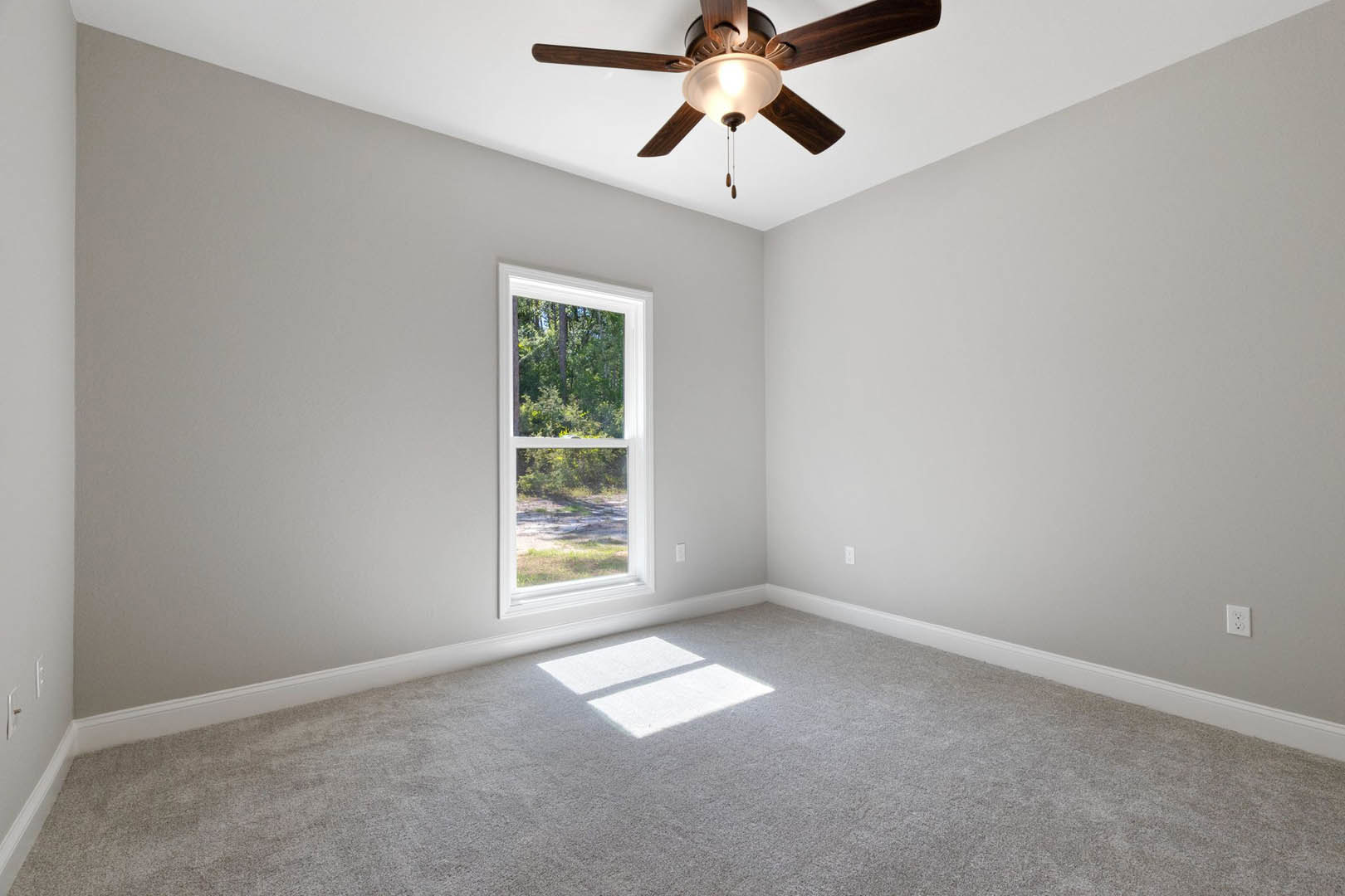 Ceiling fan with light fixture mounted on white plaster ceiling above carpeted floor, window revealing green trees outside, sunlight illuminating carpet.
