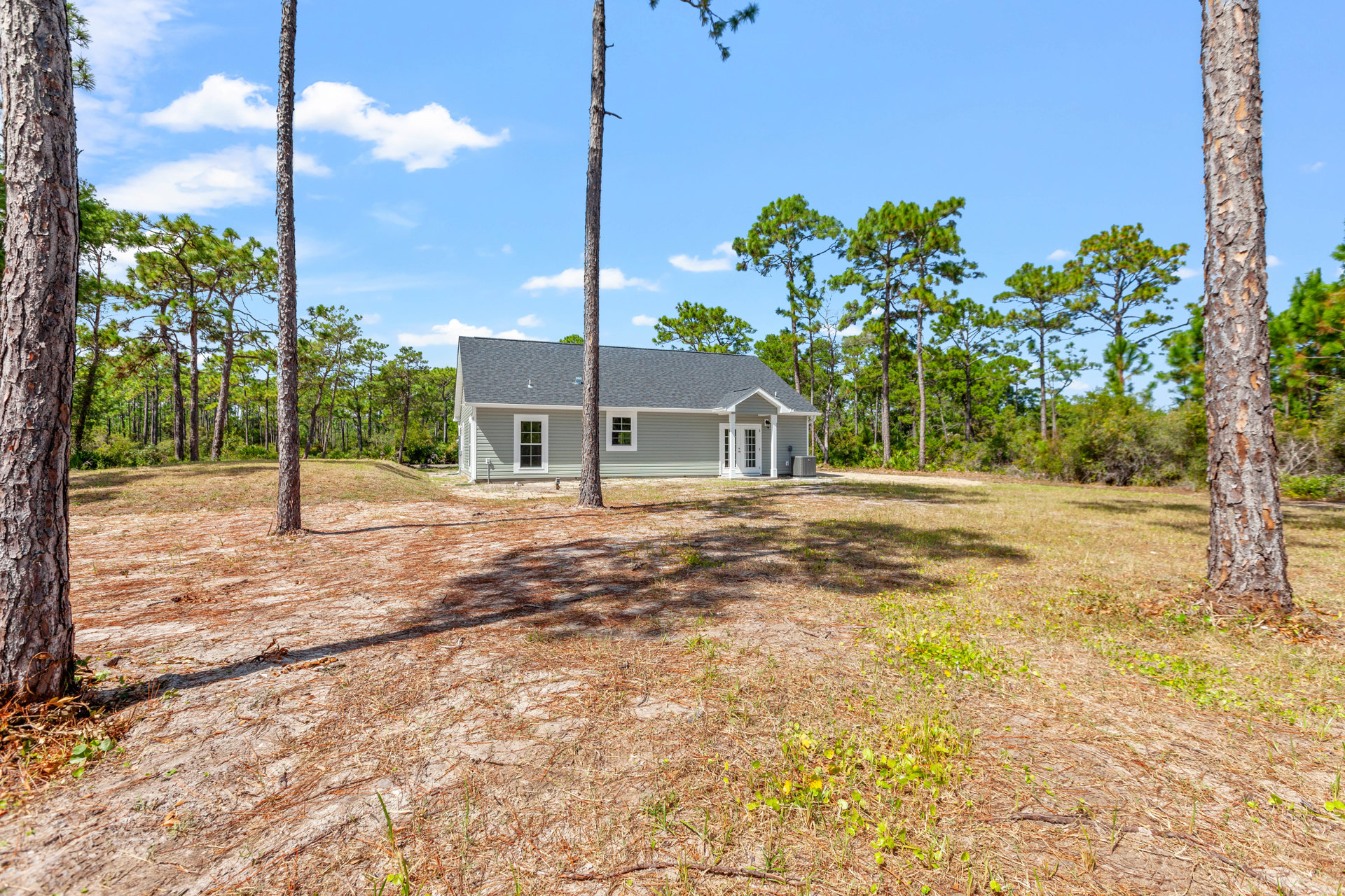 Modern home exterior with light siding, large windows, and a tall tree in the backyard, surrounded by grass, weeds, and a wooden fence under a cloudy sky