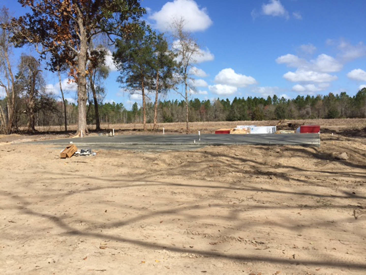 Dirt road bordered by tall green trees under a cloudy sky, sandy ground and open field visible