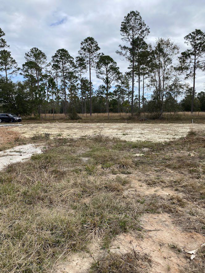 Dry grass field bordered by tall trees under a cloudy sky, with a car parked in the distance