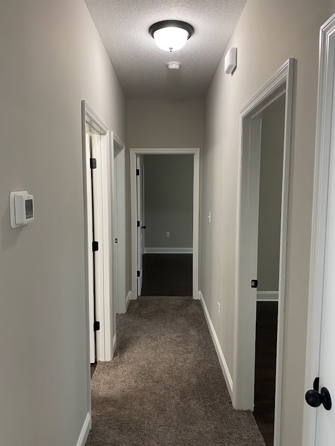 Hallway with white walls, brown carpet flooring, white trim, ceiling light fixture, and a closed door at the end