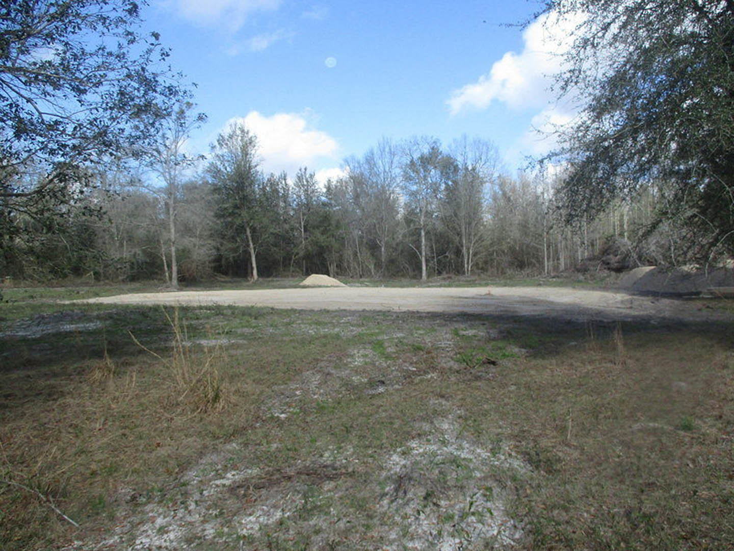 Dirt road winding through grassy field and dense woods under blue sky with scattered clouds, bordered by trees with green leaves