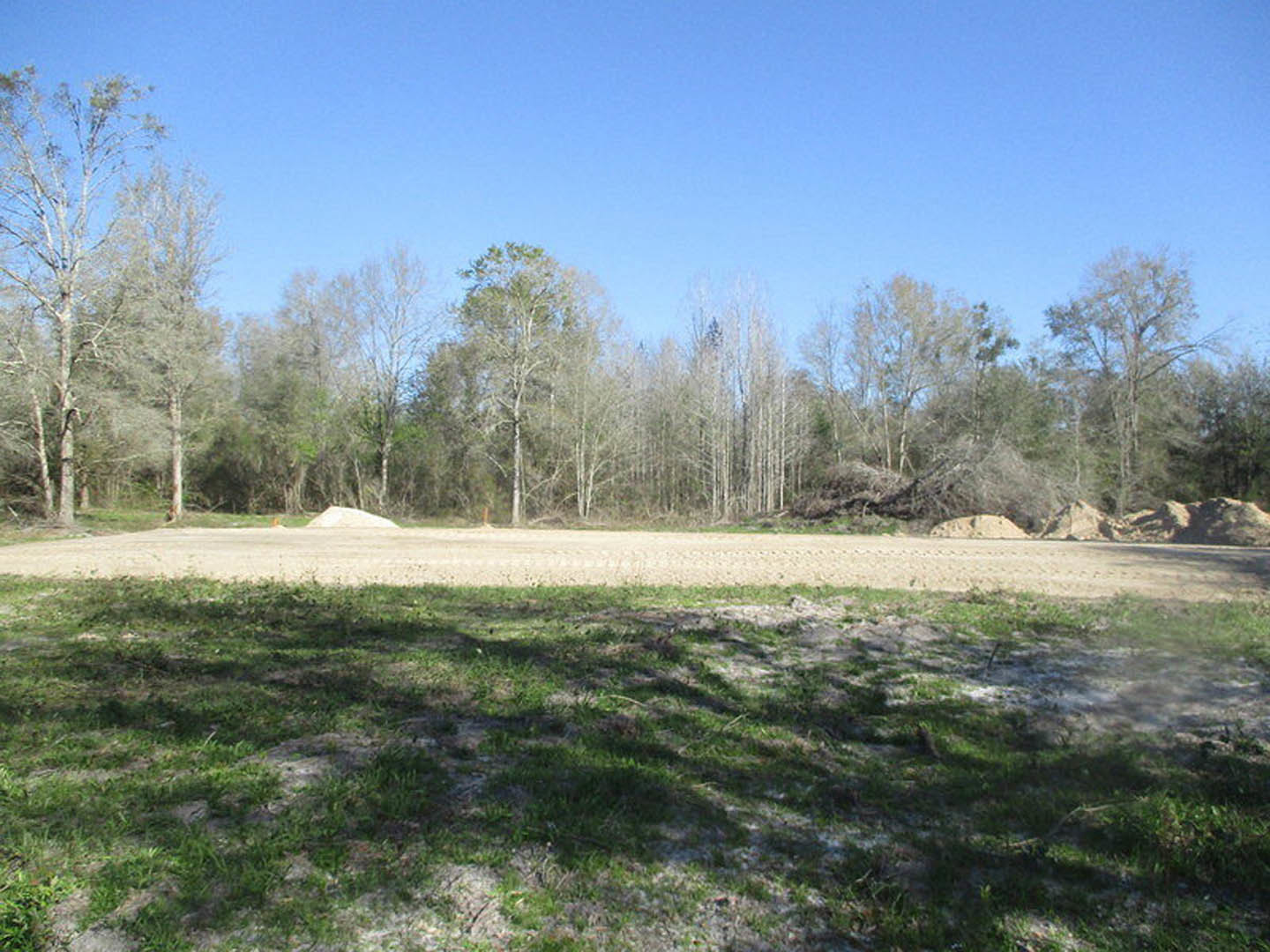 Dirt road bordered by grassy field and leafless trees under open sky