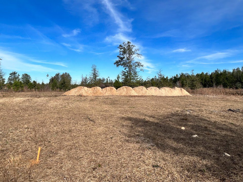 Field with dry grass, scattered piles of dirt and sand, leafless tree with many branches, blue sky with clouds, yellow line marking ground in front of trees