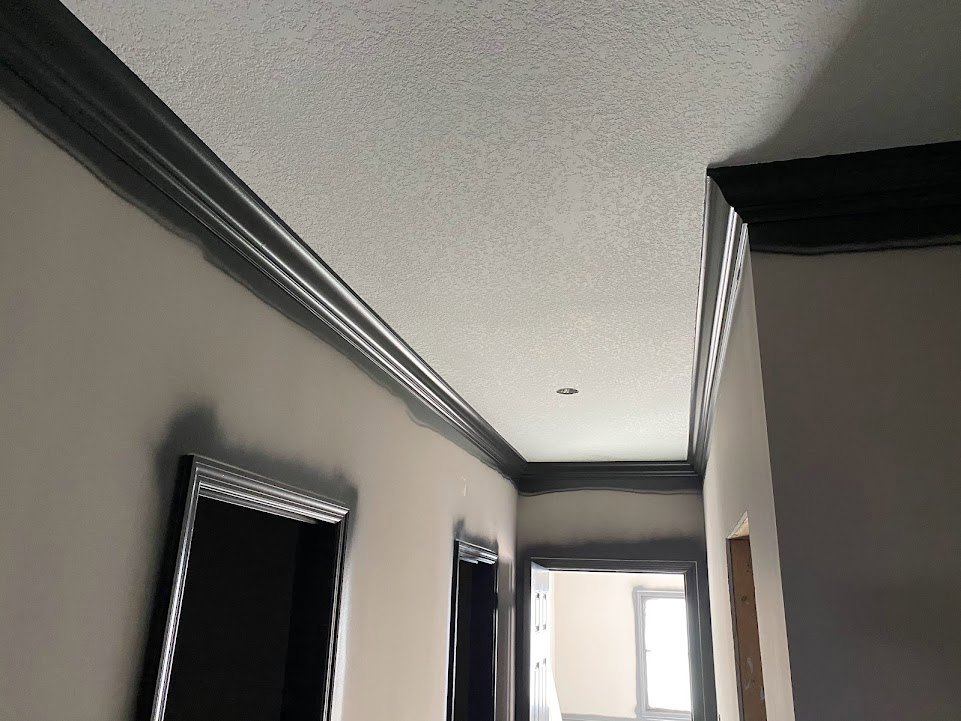 Hallway with black molding and trim, open door leading to a sunlit room, window allowing daylight, plaster walls, modern interior finishes