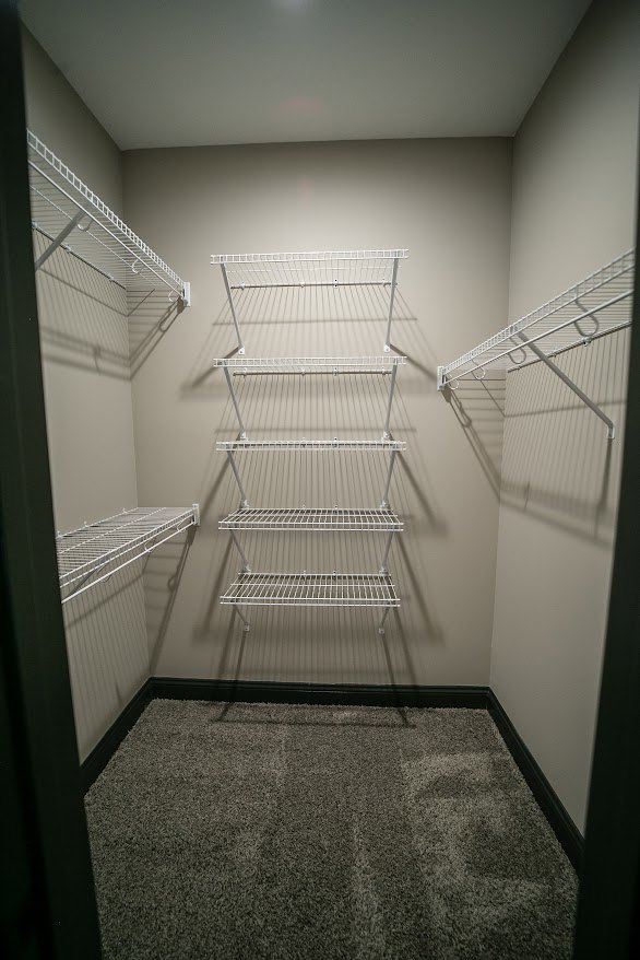 Walk-in closet with white built-in shelves, beige carpet flooring, and neutral painted walls