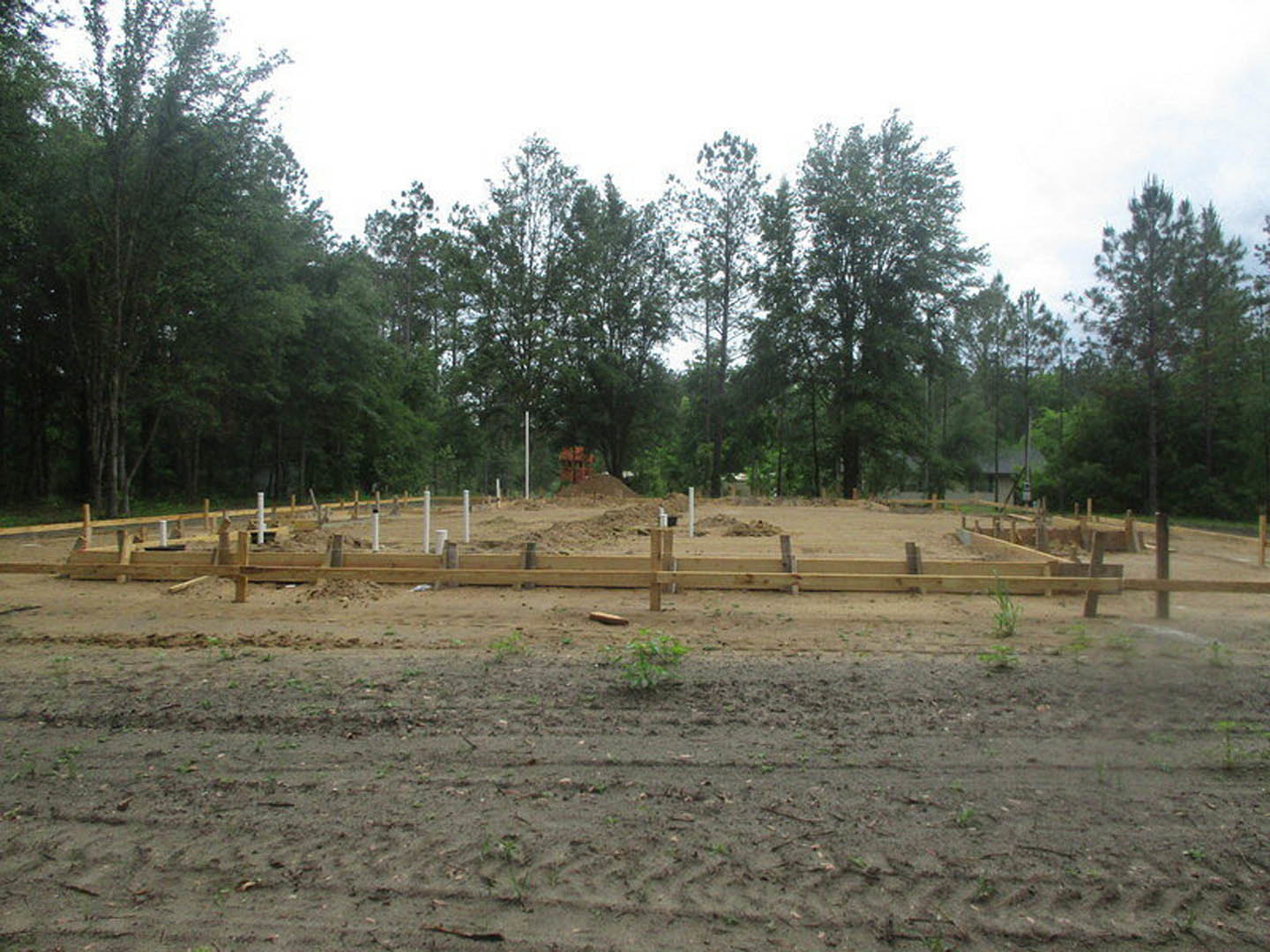 Wooden fence surrounding dirt construction site with small plant in foreground, group of trees in background, open sky above
