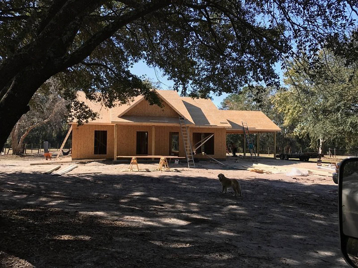 Dog standing on dirt in front of partially built house with exposed framing, ladder leaning against exterior, construction materials scattered nearby