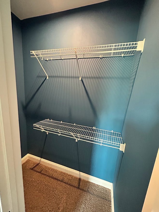 Blue-walled closet with white wire shelving and beige carpet featuring a subtle line pattern