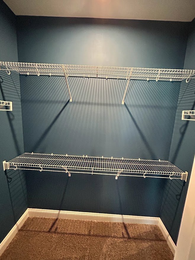 White wire shelving mounted on a blue wall in a carpeted room