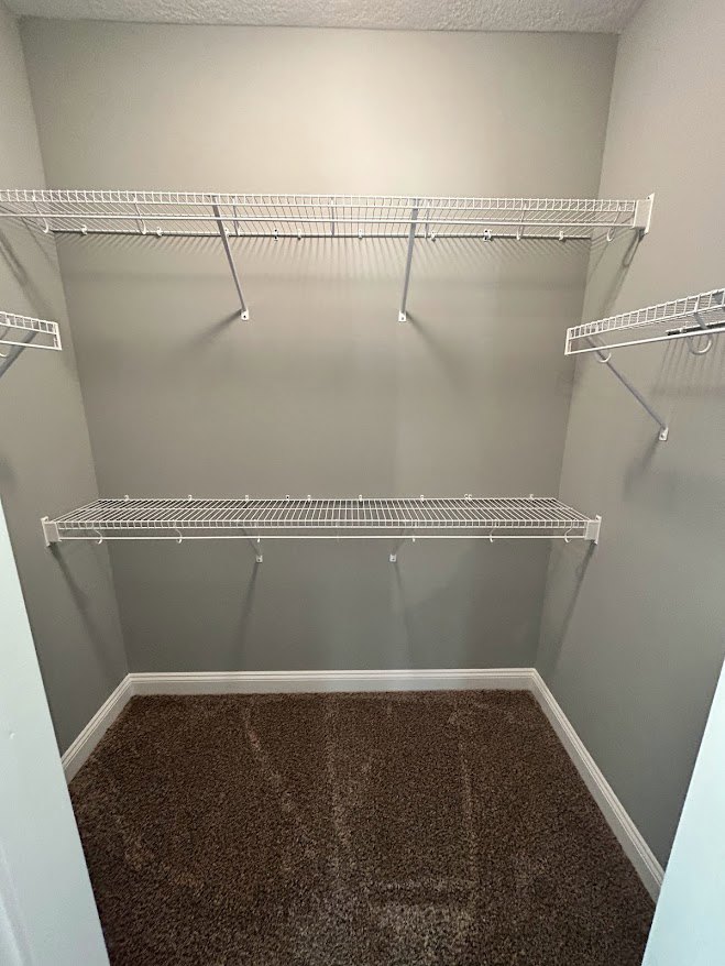 Walk-in closet with white shelving, metal grate shelf, beige carpet flooring, white baseboards, and a ladder stored vertically on a wall-mounted rack.