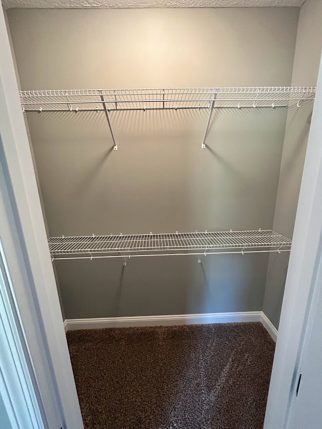 Walk-in closet with white wire shelving, light gray carpet flooring, and smooth plaster walls