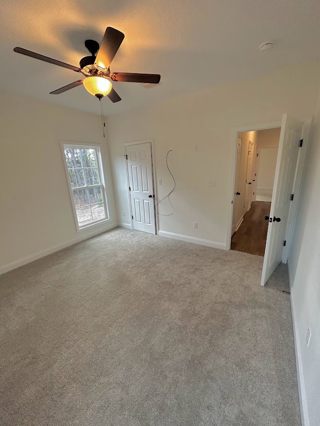 Carpeted room featuring a ceiling fan with light, white door with black knobs, window overlooking trees, and hallway with additional white doors.