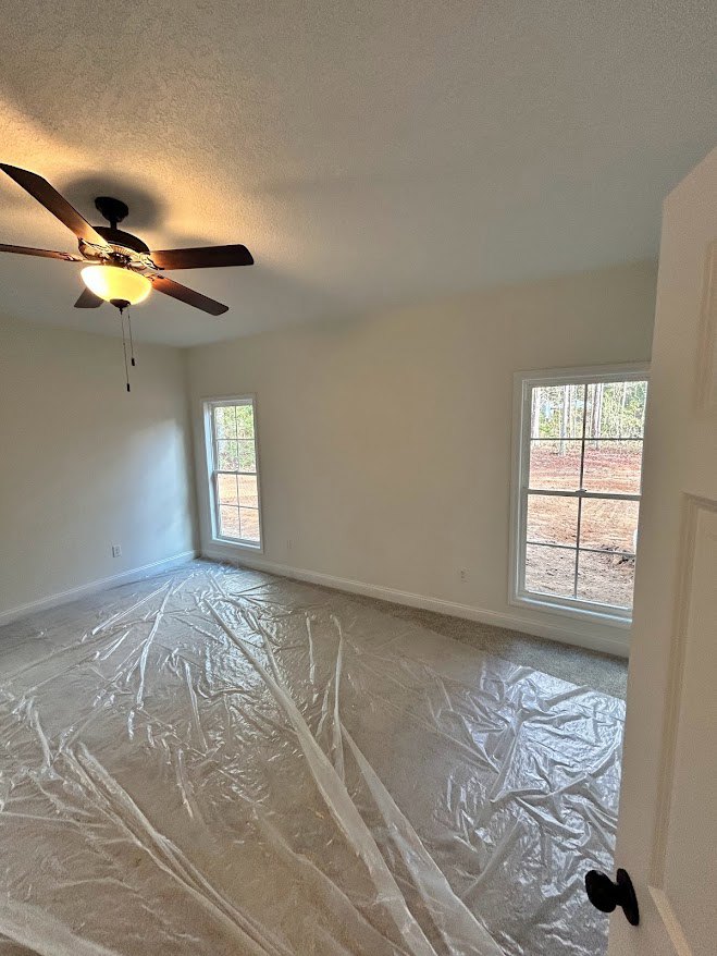 Ceiling fan with light fixture above a room with plastic covering the floor, white framed window showing forest view, and white door with glass panel.