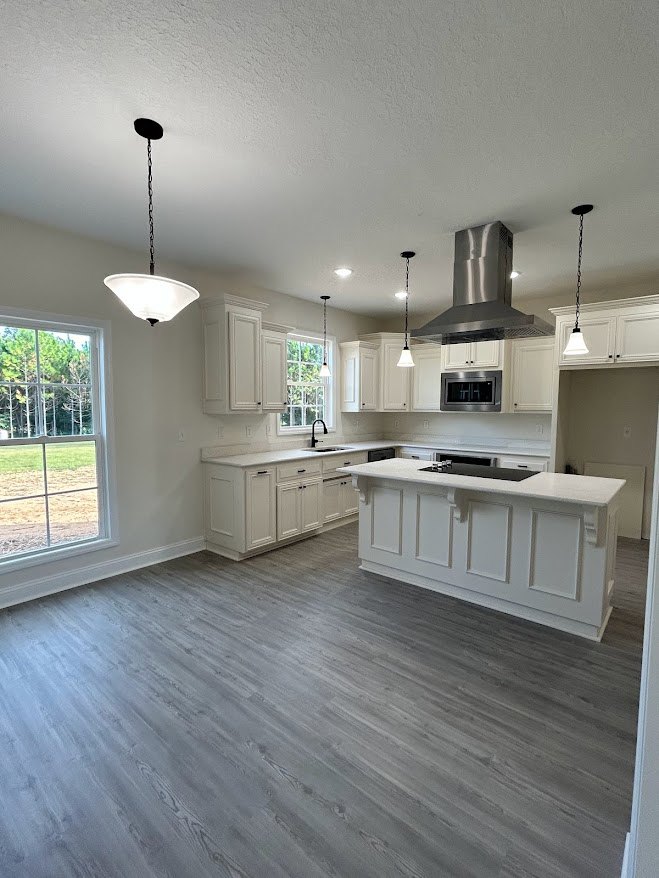 White kitchen cabinets and island with black stove, wood flooring, stainless steel exhaust hood, window overlooking grass and trees, close-up of lamp, black pole with chain