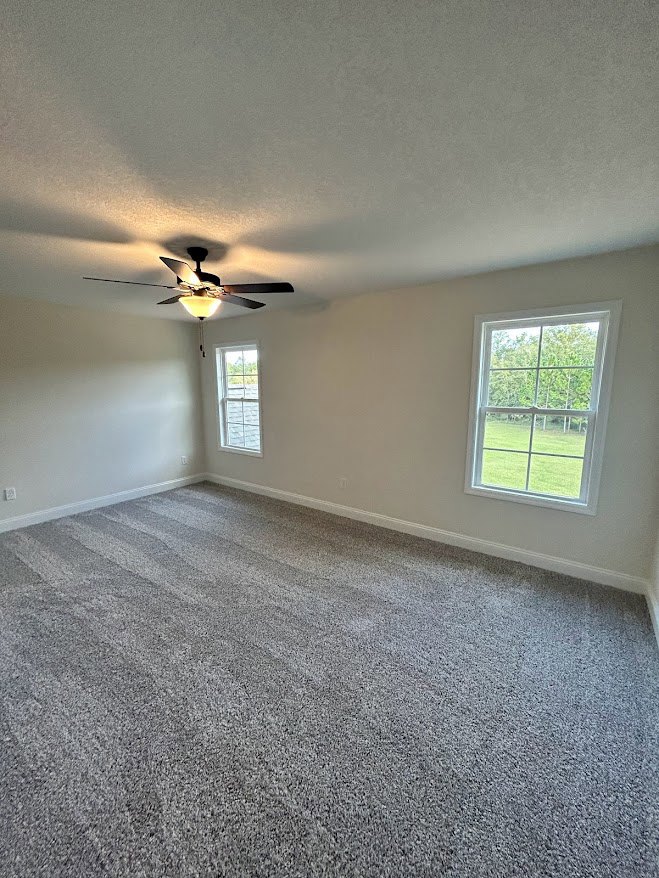 Carpeted room with white-framed windows overlooking a green lawn, ceiling fan with light fixture, plaster walls and ceiling