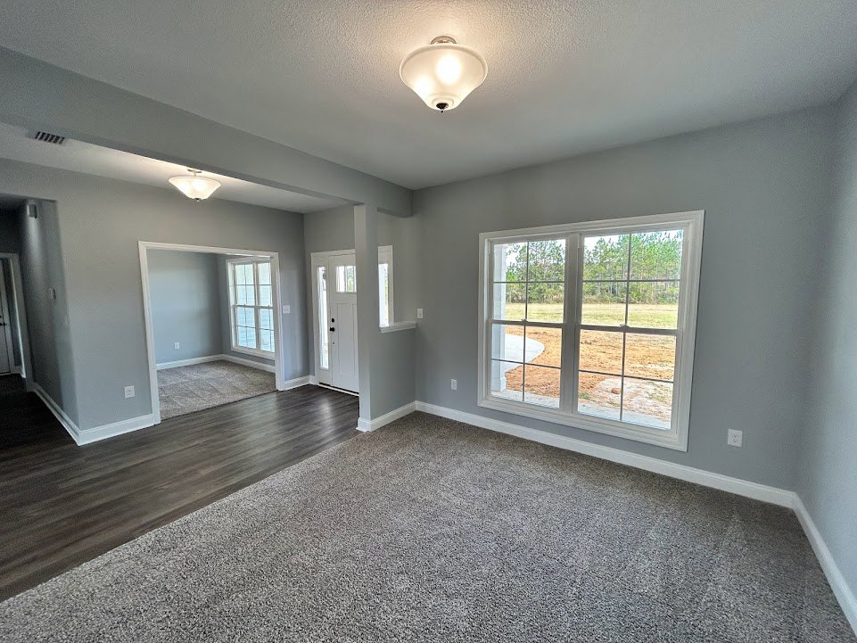 Neutral-toned carpeted room with white walls, large window framed in white overlooking a grassy field, white door with black hardware, simple ceiling light fixture