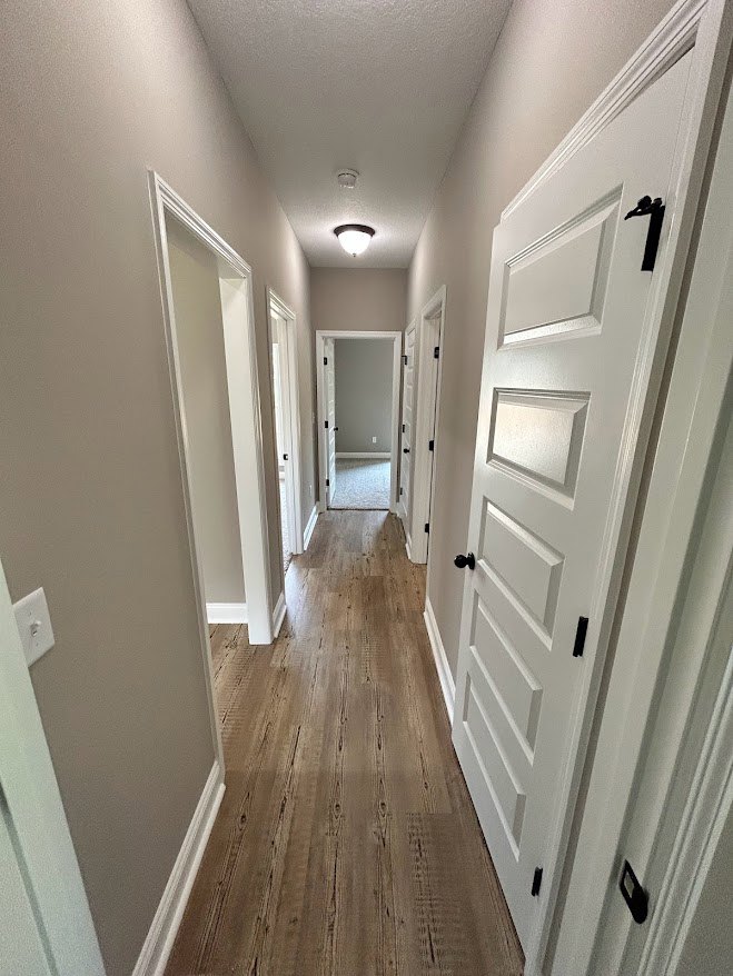 Hallway with white paneled doors, white walls and trim, and medium-toned hardwood flooring