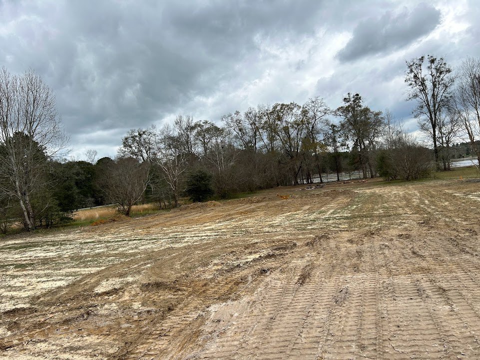 Dirt field with tire tracks, leafless tree, cluster of trees, cloudy sky