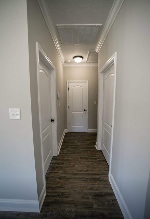 Hallway with white paneled doors featuring black knobs, wood plank flooring, white walls and trim, ceiling light fixture, and wall outlet with light switches