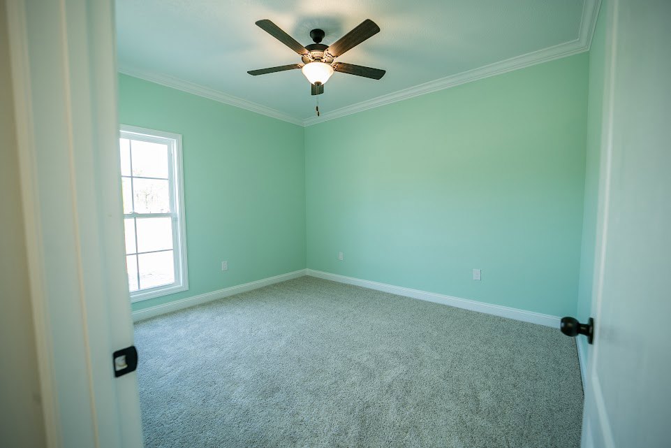 Carpeted room with green walls, white-framed window, ceiling fan with illuminated light fixture