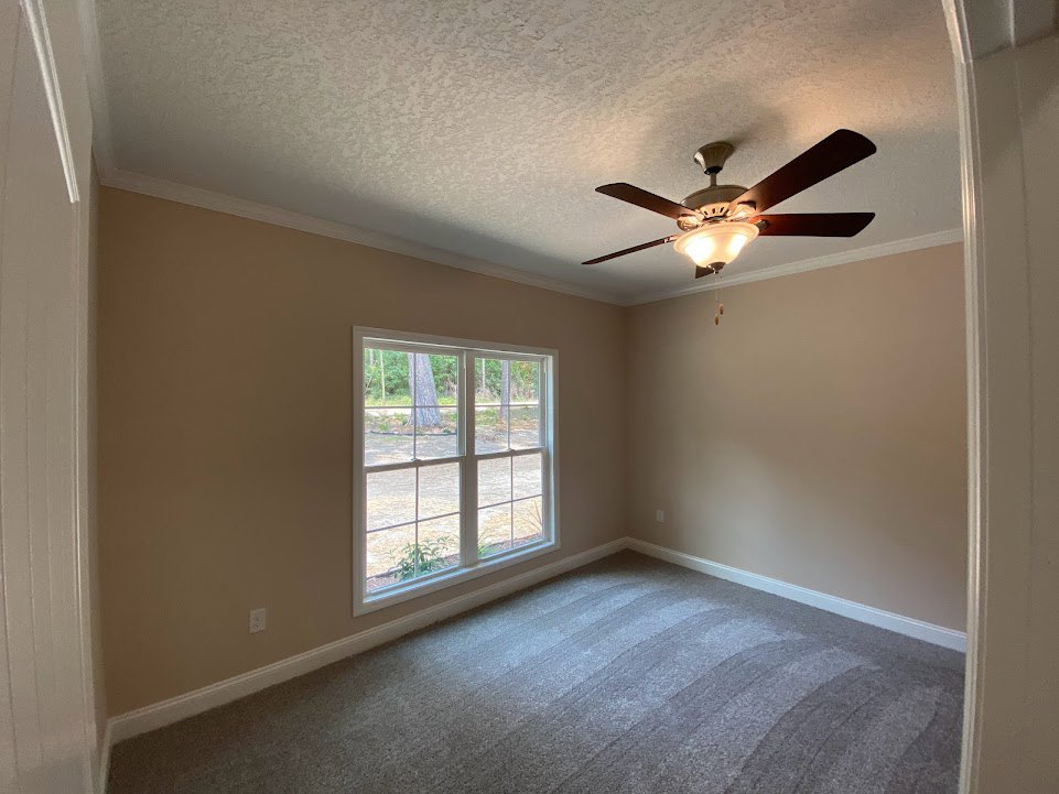 Ceiling fan with light fixture mounted on white plaster ceiling above carpeted floor, large window framing view of leafy trees outside